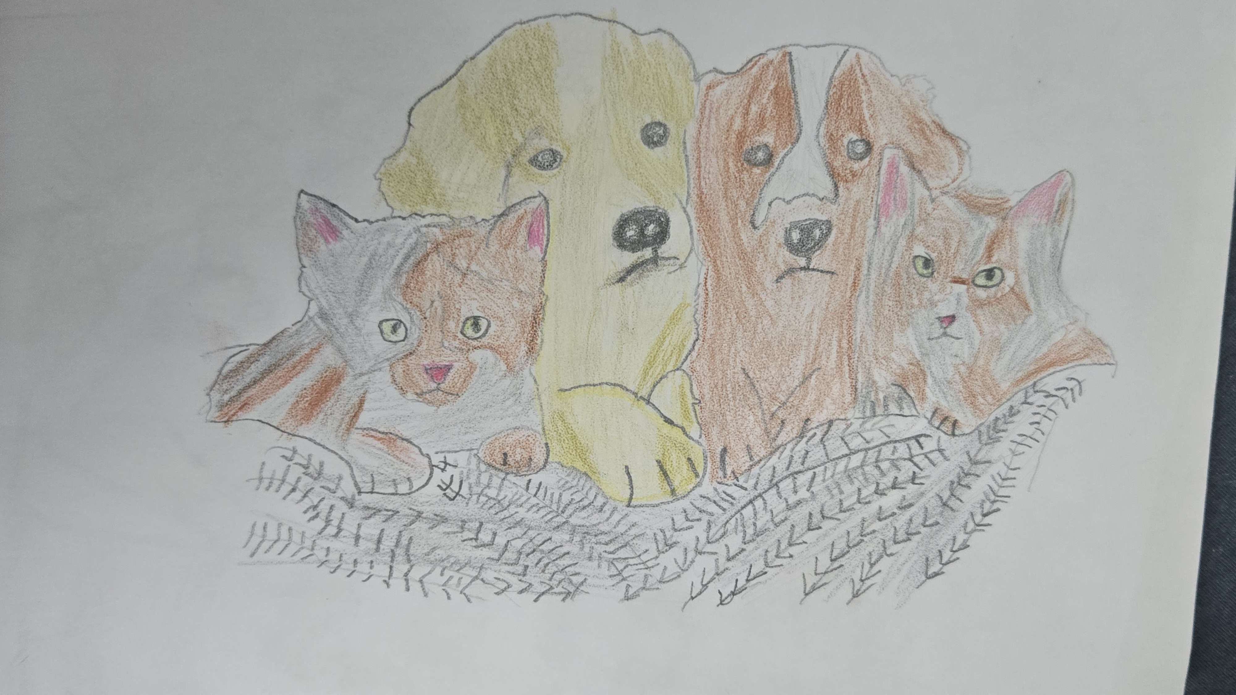 Litter — original drawing